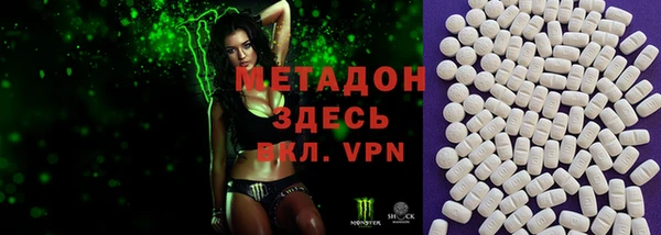прущие грибы Верея
