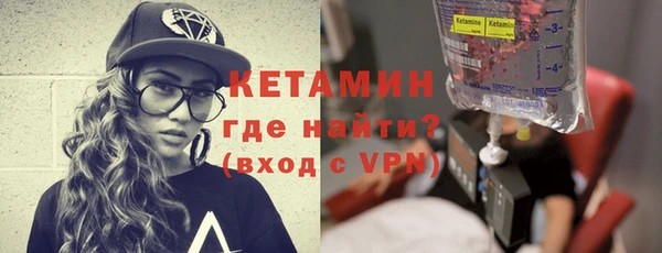 прущие грибы Верея