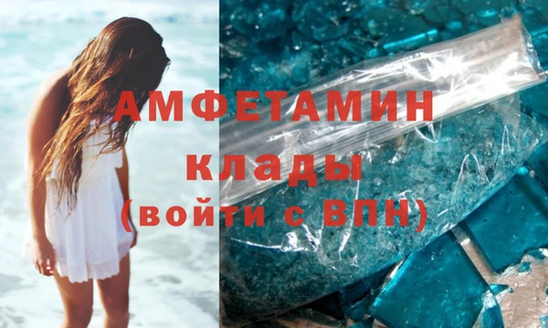 прущие грибы Верея
