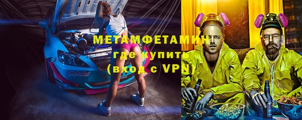 прущие грибы Верея