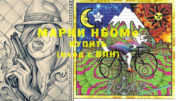 прущие грибы Верея