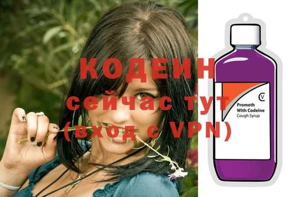 прущие грибы Верея