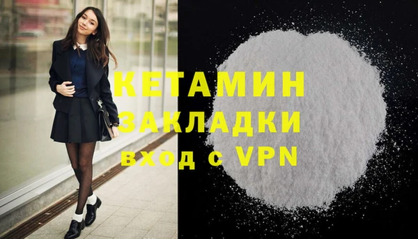 прущие грибы Верея