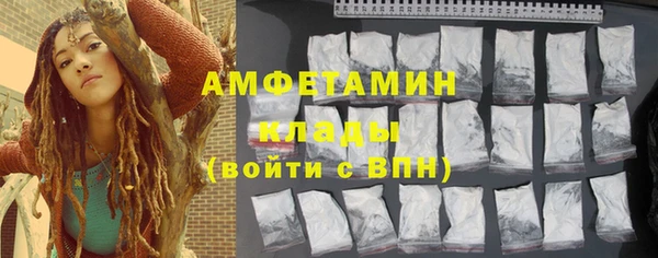 прущие грибы Верея