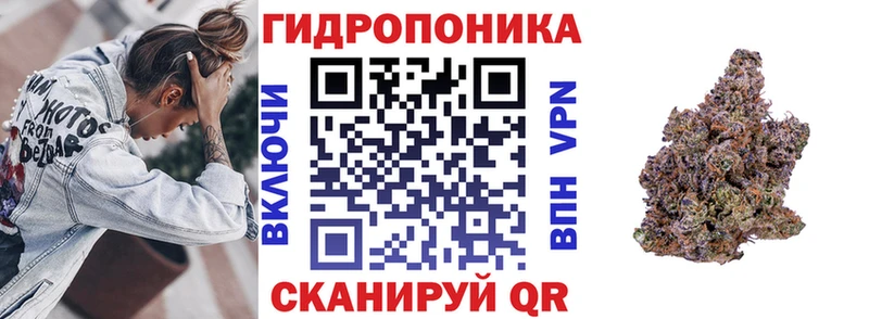 Купить  Мезень  Канабис ГИДРОПОН 